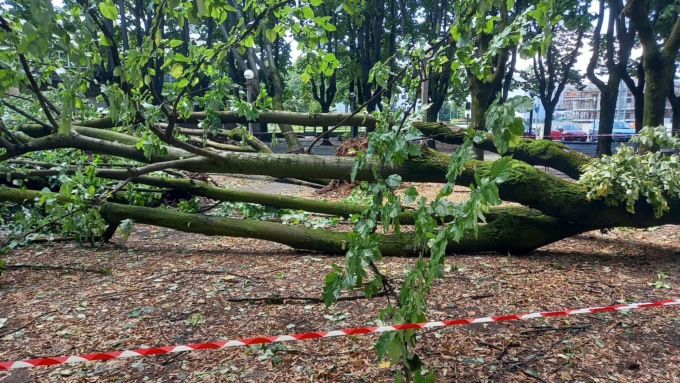 A Vimercate alcuni parchi comunali restano chiusi fino al 2 agosto