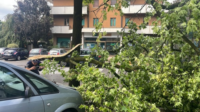 Danni da nubifragio, ecco cosa devono fare i cittadini di Vimercate per i rimborsi
