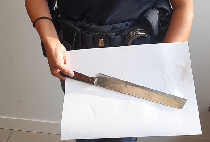 “Infastidito” dai cani, accoltella il padrone: arrestato per tentato omicidio