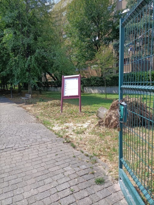 Danni del maltempo: domani riapriranno 26 giardinetti, sabato il cimitero