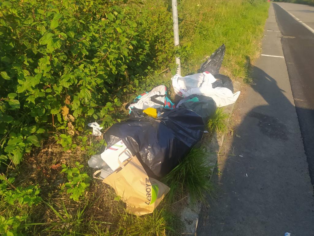 Penalty for illegal dumping of garbage reported by a woman with a pocket knife