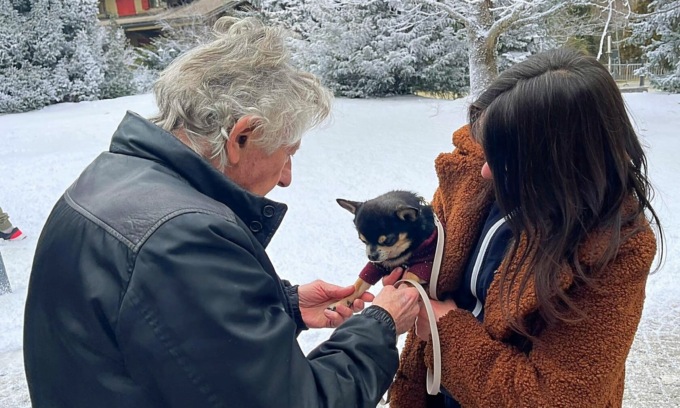 Da Brugherio al set del regista Polanski: la nuova star è… un chihuahua