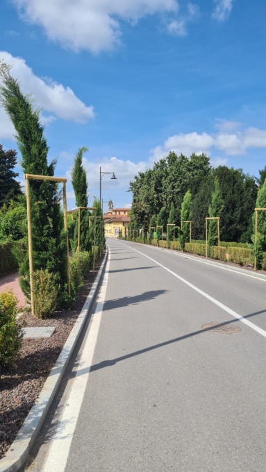 A Vimercate tecnici agronomi impegnati nella verifica della stabilità delle piante