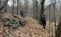 Spaccio nei boschi: arresti a Cesano Maderno e Seveso