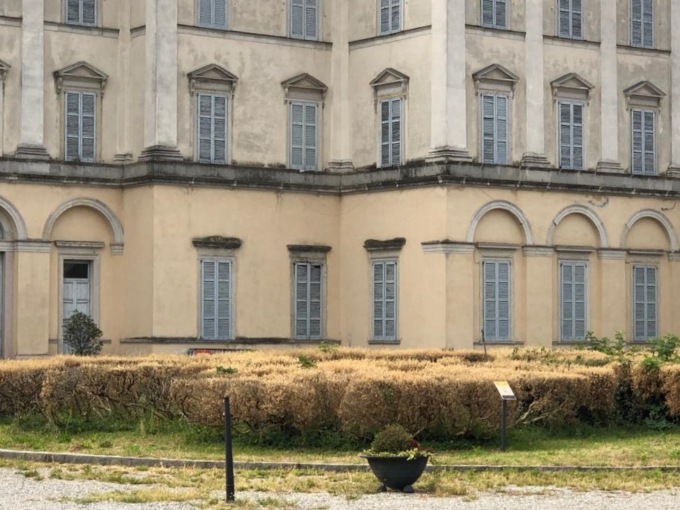 La Piralide divora la siepe di Villa Tittoni