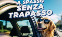 Pronti a ripartire con “a spasso senza trapasso” di Autotorino?