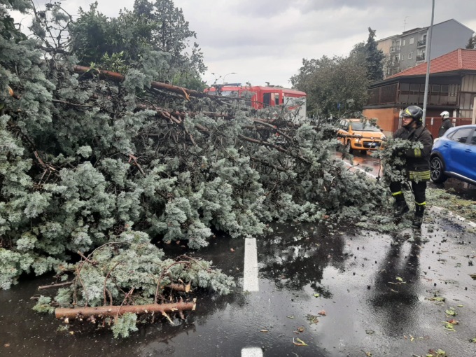 Albero crolla su un’auto, paura a Seregno