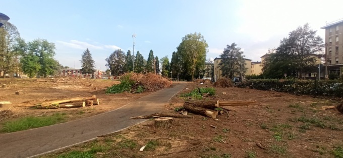 Maltempo, un intero parco completamente raso al suolo