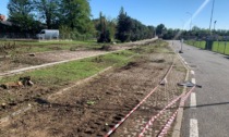 Il cimitero di Lesmo finisce sotto i ferri: "Nuove alberature entro Ognissanti"
