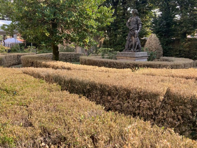 Il Comitato verde striglia destra e sinistra: «Il bosso è in agonia per l’incuria di tutti»