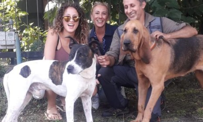 Il miracolo del cane Aldo: scappa dopo un incidente e viene investito quattro volte. Trovato vivo dopo una settimana