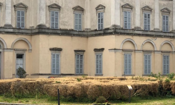 Bosso di Villa Tittoni attaccato dalla Piralide, effettuati i primi interventi