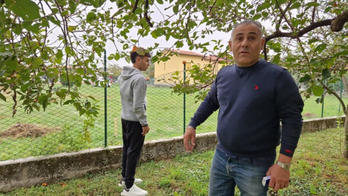Rubano oltre 200 cachi direttamente dalla pianta, incredibile furto in un giardino condominiale