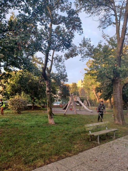 Caso verde pubblico, l’assessora difende l’appalto