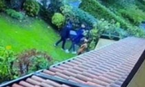 Ladri ripresi dalle telecamere mentre fuggono con la cassaforte, colpo da 70mila euro