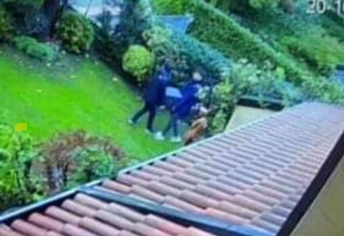 Ladri ripresi dalle telecamere mentre fuggono con la cassaforte, colpo da 70mila euro