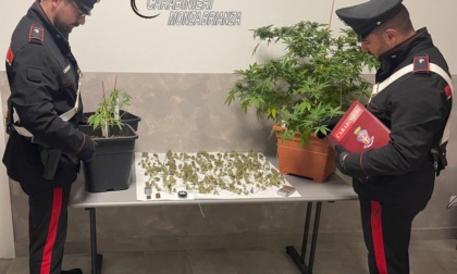 La marijuana appesa allo stendino e le piantine in casa: arrestato un 57enne
