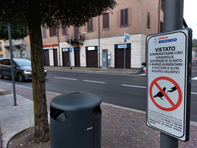 Vietato alimentare i piccioni: multe fino a 350 euro