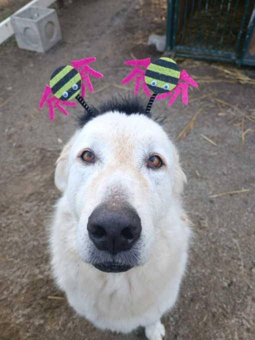 Halloween in Brianza