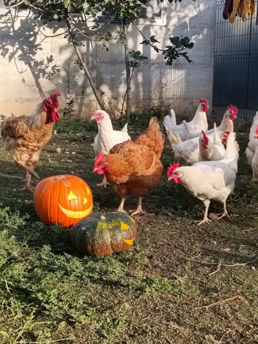 Halloween in Brianza