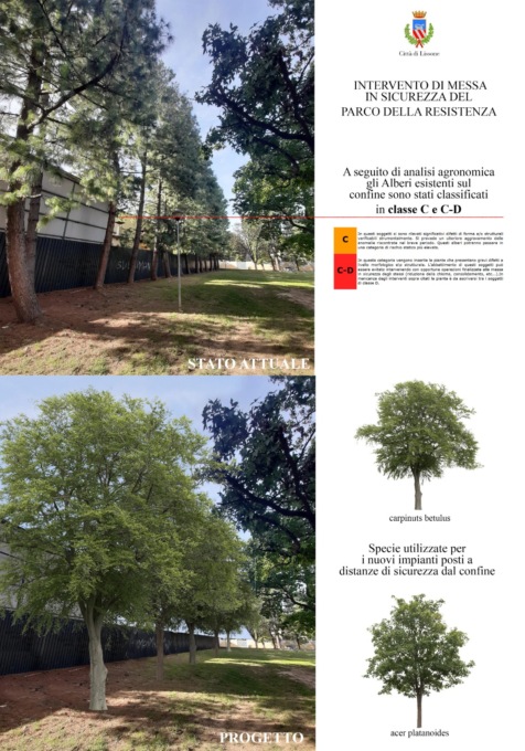 Al Parco arrivano nuove piante dopo i disastri causati dal maltempo