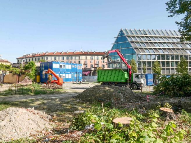 Abbattuti i Tigli in piazza Baiamonti a Milano