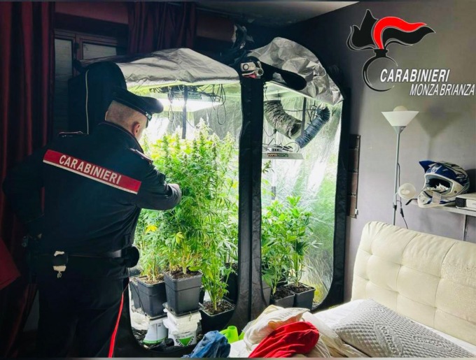 In casa sette serre di marijuana: arrestati padre, madre e figlio
