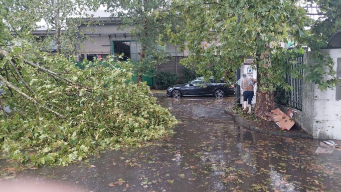 Allagamenti e degrado, raccolta firme in via degli Artigiani a Desio