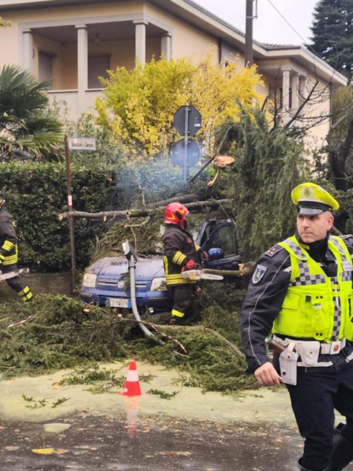 Pianta crolla su un’auto, paura a Carate Brianza