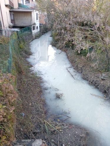 Allarme ad Agliate, il Lambro si tinge di bianco