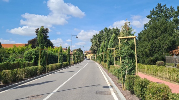 La Giunta fa il punto sullo stato di salute del patrimonio arboreo a Vimercate