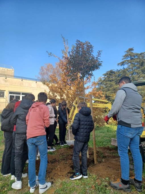Ben 400 nuovi alberi a Monza, ecco dove si piantuma