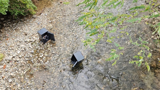 Dal torrente Molgora affiorano… due casseforti