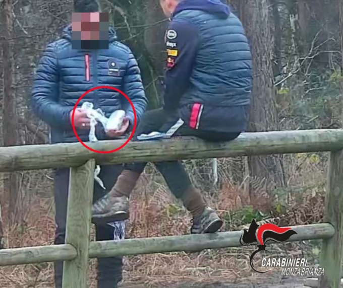 Forniva di droga gli spacciatori del Parco delle Groane: arrestato