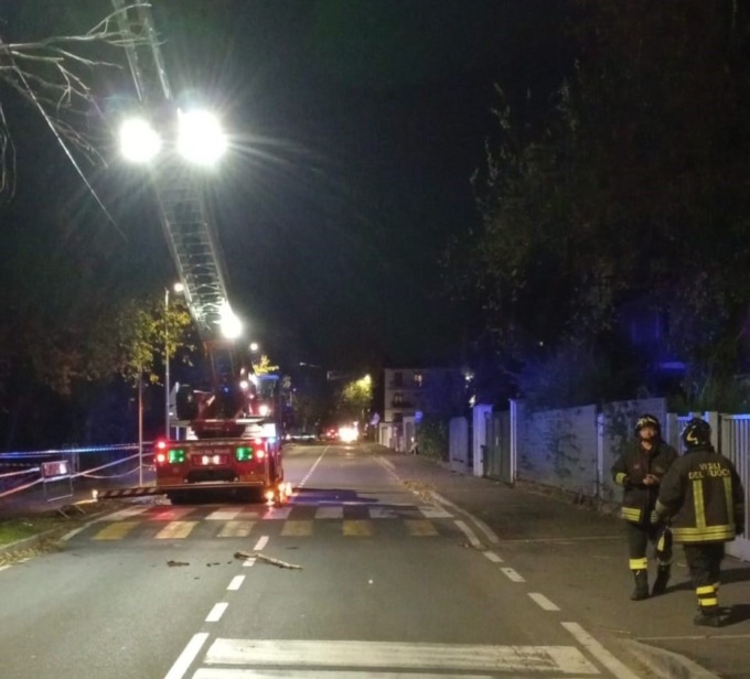Vigili del fuoco in azione a Muggiò per alberi e rami pericolanti
