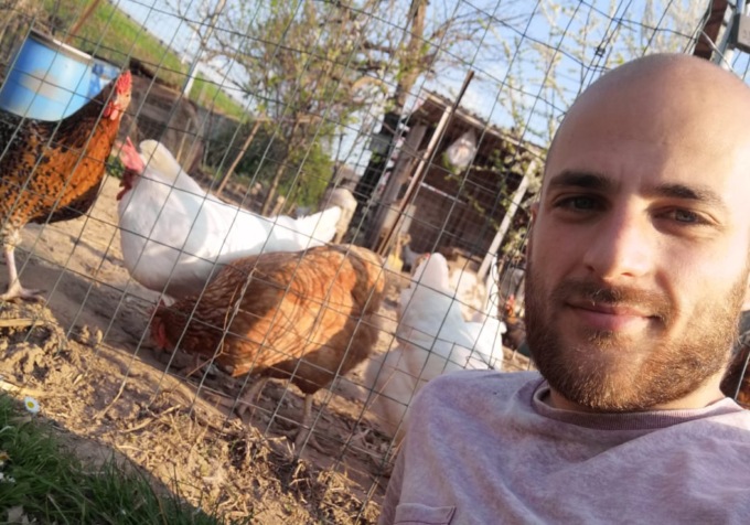 Ladro di galline svuota nella notte due pollai: «Erano la mia passione»