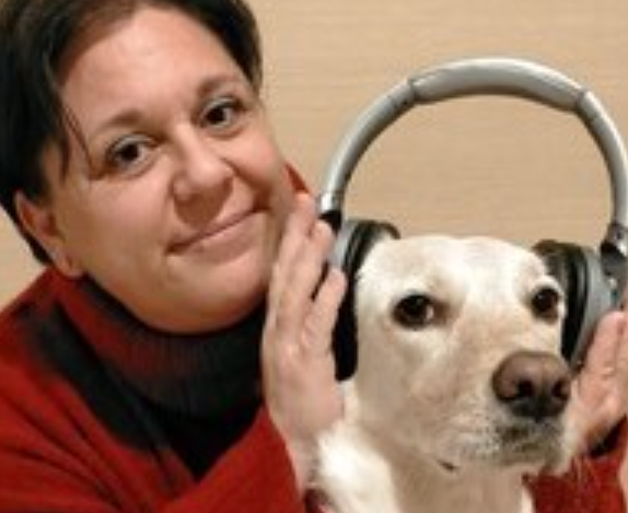 Anche il Comune di Ceriano lancia l’appello “Niente botti a Capodanno”
