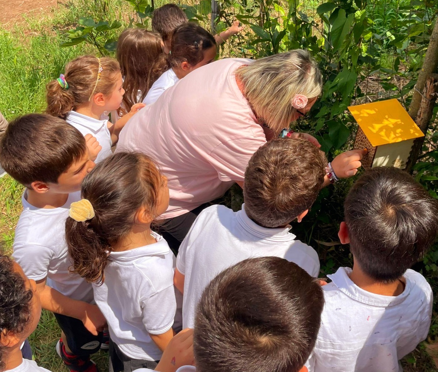 3Bee a scuola di biodiversità - 01 24 (1)