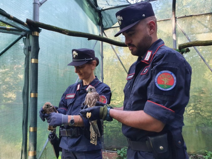 Presentato il report dell’attività dei Carabinieri Forestali nel 2023