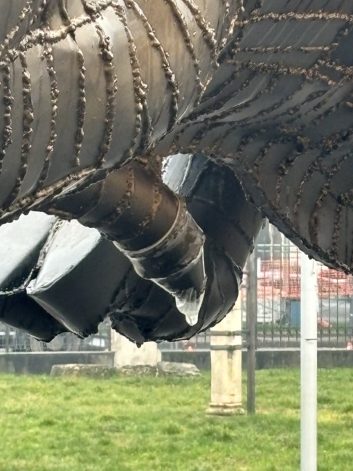Infilano un preservativo alla statua del toro