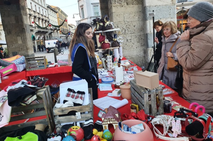 Tutto pronto per la Befana degli animali