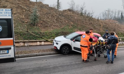 Auto contro albero, soccorso un 51enne