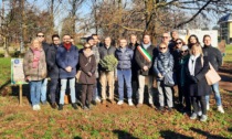 Piantato un ulivo nel Parco della Pace