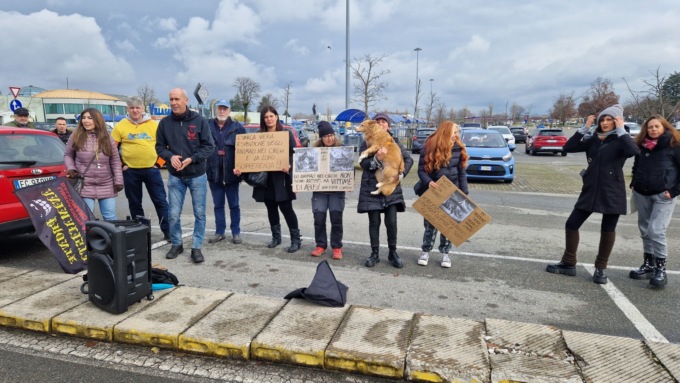 Sit-in di protesta degli animalisti contro il circo Orfei, nel frattempo stanotte ignoti hanno tentato di liberare tigri, leoni ed elefanti dalle gabbie