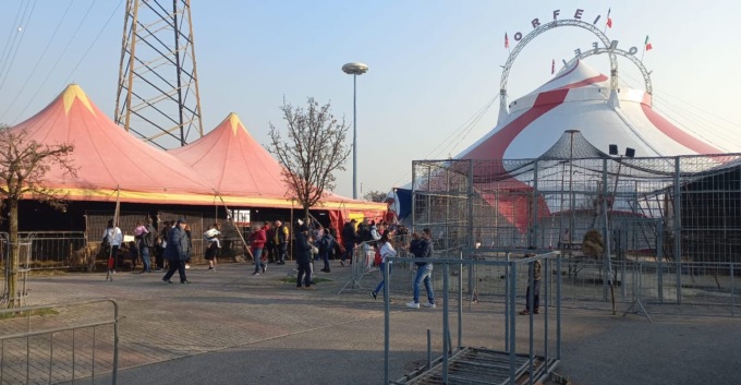 Circo con animali a Desio, sabato presidio di protesta