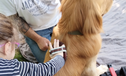 Lezioni di amicizia tra bambini e animali: Ats Brianza porta i cani nelle scuole