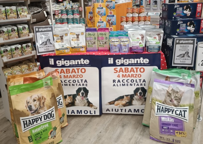 Sabato al “Gigante” la raccolta alimentare con Balzoo