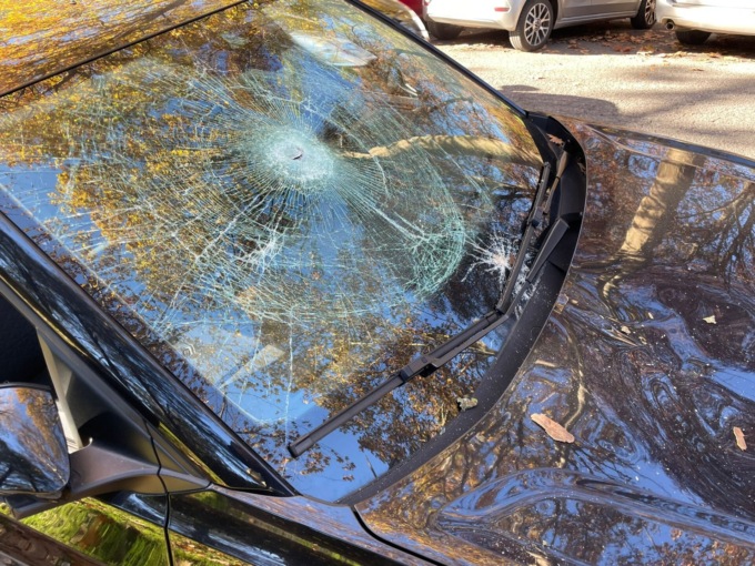 Albero distrugge le auto, il Comune nega risarcimento