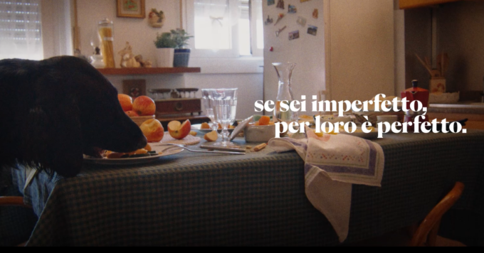 “Imperfetti cercasi”, al via la campagna Enpa dedicata alle adozioni