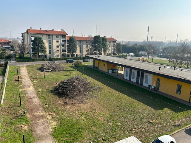 Al Parco delle Noci è iniziata la riqualificazione: abbattuti gli alberi